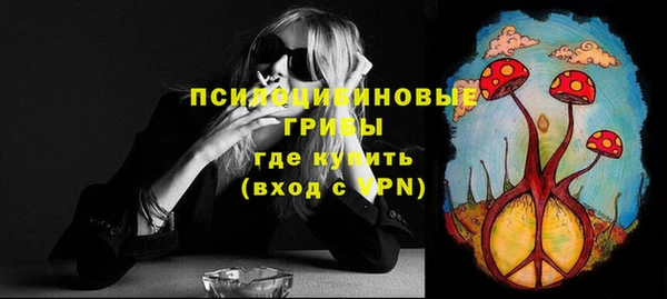 марки lsd Бородино