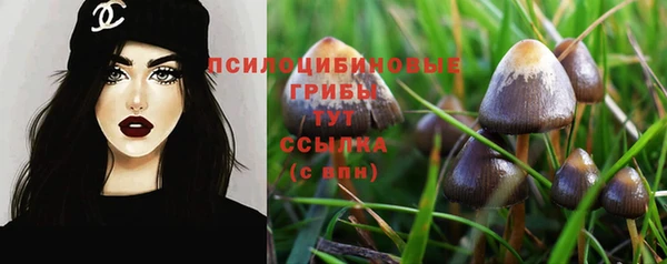 марки lsd Бородино