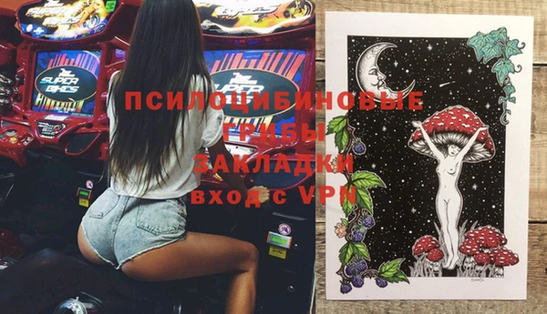 твердый Бронницы