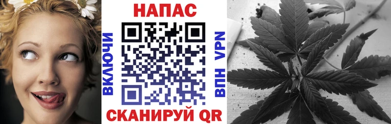 Шишки марихуана марихуана  Химки 